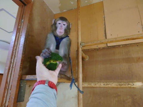 20230223_073013_copy_800x600