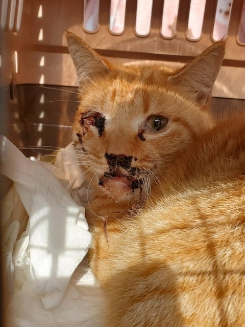 1710320183949_copy_584x778