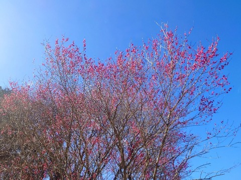 20240302_145644~2_copy_800x600