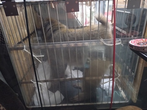 20260302_105157_copy_800x600