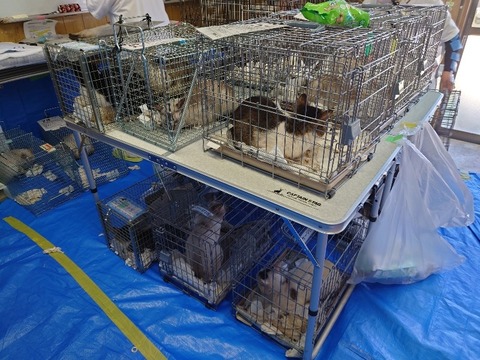 20220722_094100_copy_800x600