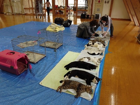 DSC_0018_copy_800x600