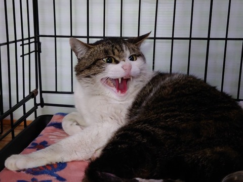 20230219_180238_copy_800x600