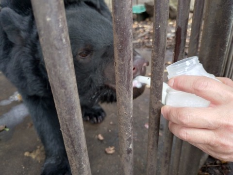 20251106_120657_copy_800x600