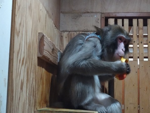 20260301_071954_copy_800x600