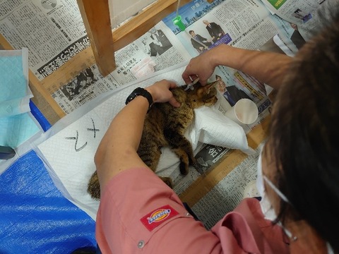 DSC_1757_copy_800x600