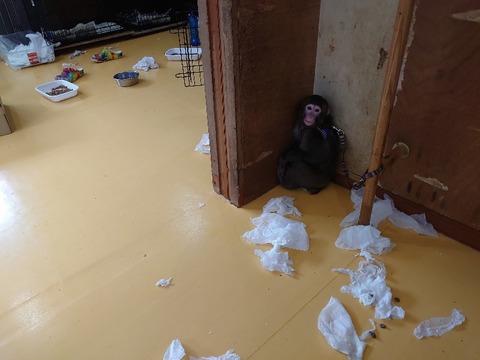 DSC_2761_copy_800x600