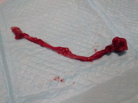 DSC_4214_copy_800x600