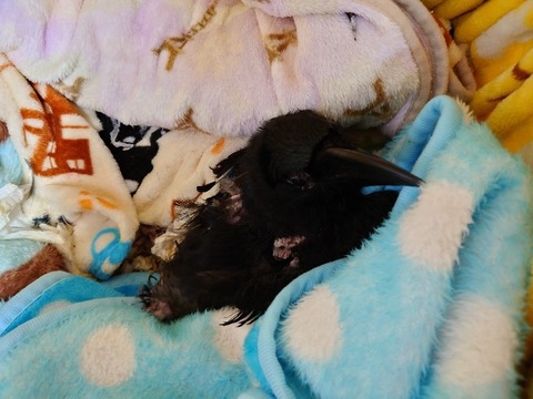 20230301_082703_copy_800x600