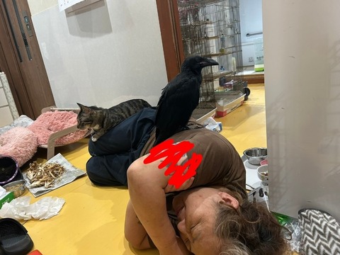 1761312317024~2_copy_886x664