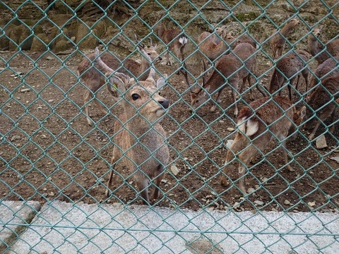 DSC_2841_copy_800x600