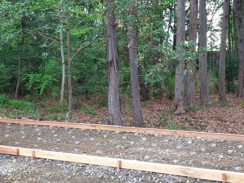 20260430_081405_copy_800x600