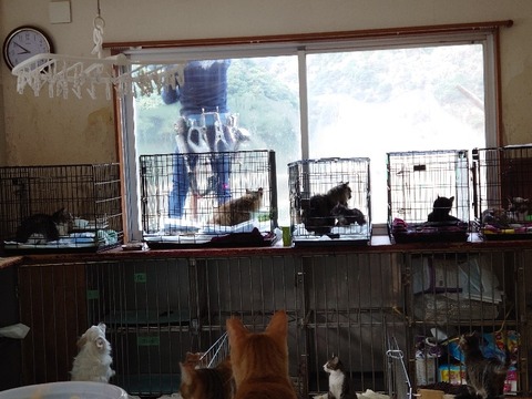 DSC_2756_copy_800x600