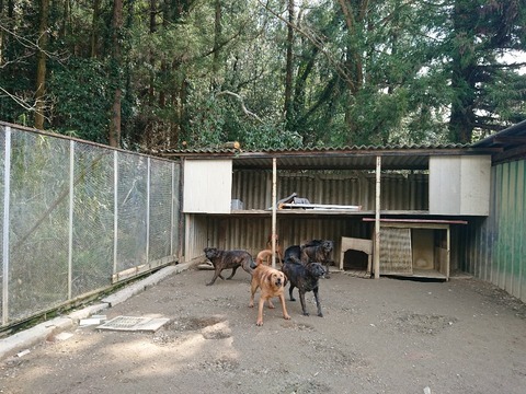 DSC_6127_copy_800x600