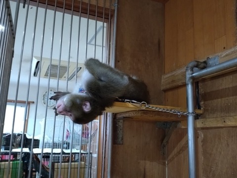 20260130_081619_copy_800x600