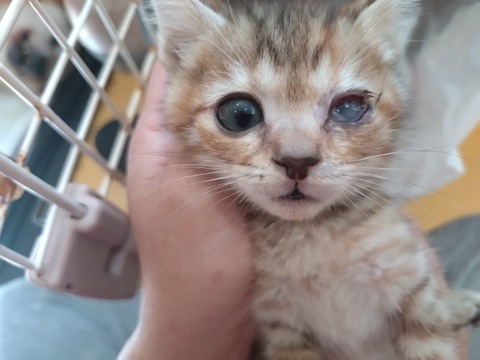 20251024_121507_copy_800x600_1