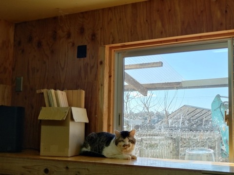 20260307_114048_copy_800x600