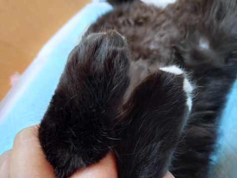 20250223_151518_copy_800x600