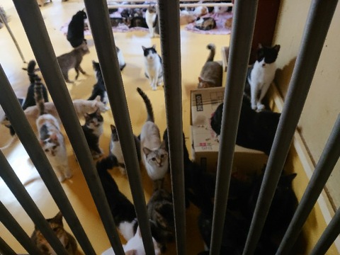 DSC_6382_copy_800x600