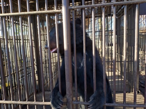 20251231_081656_copy_800x600