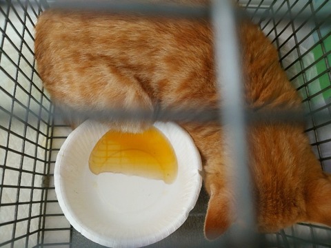 20231116_134701_copy_800x600