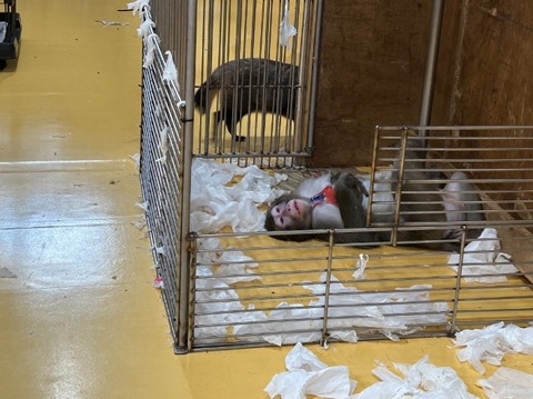 1765872964811_copy_709x531