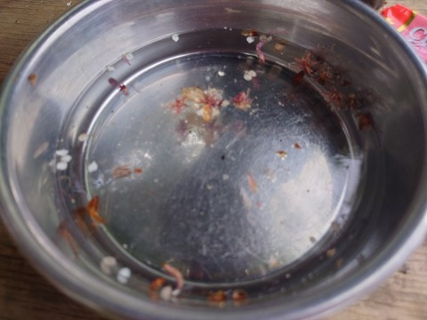 20230421_170622_copy_800x600