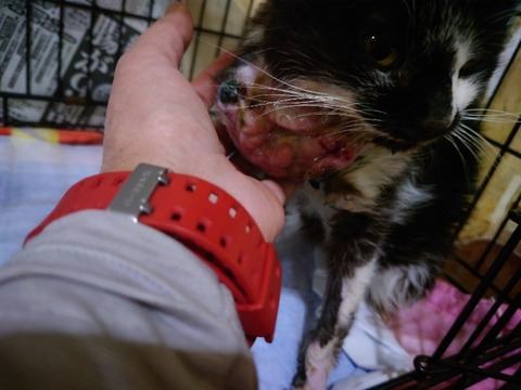 20230223_182714_copy_800x600