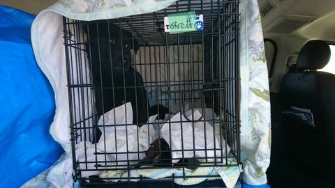 1519952157716-800x450