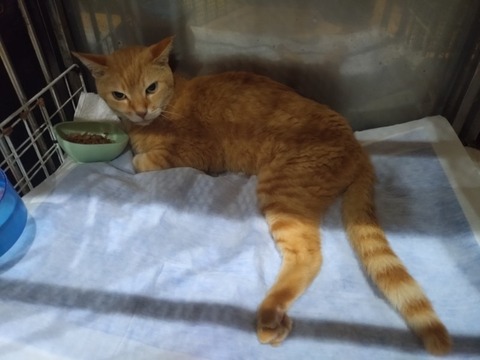 20251002_183326_copy_800x600_1