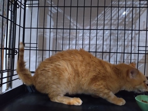 20251019_174712_copy_800x600