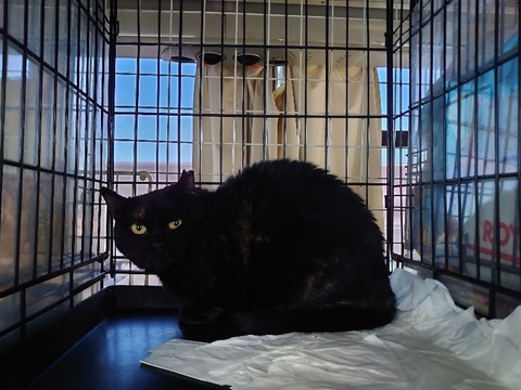 DSC_1892_copy_800x600