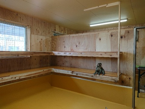 DSC_5864_copy_800x600