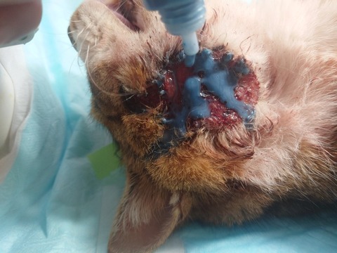 20240313_091100_copy_800x600