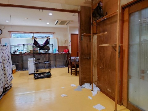 20230223_073000~2_copy_800x600