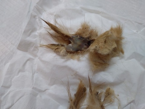 20260125_162309_copy_800x600