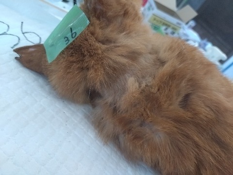 20240521_104231_copy_800x600