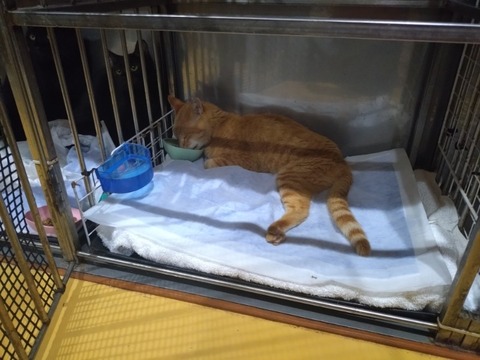 20251002_183333_copy_800x600