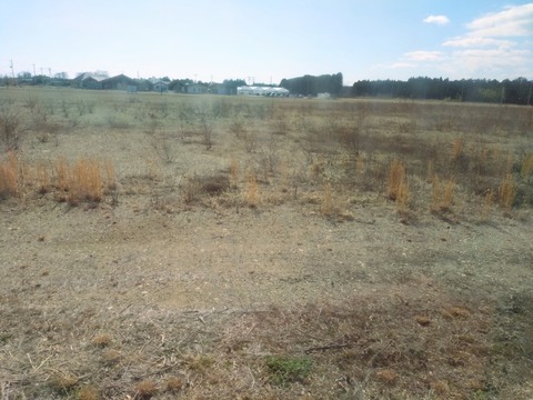 20260311_102814~2_copy_800x600_1