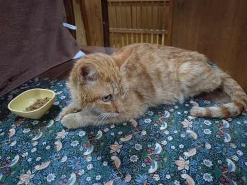 20260129_200557_copy_800x600