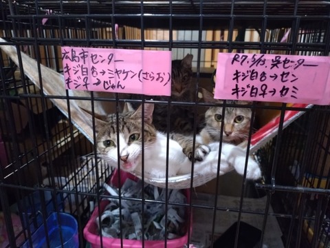 20251125_133109_copy_800x600