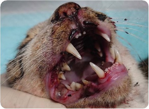 1611312576983_copy_590x432