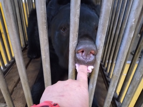 20251231_071939_copy_800x600