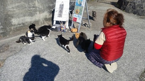 1544932343083-800x450