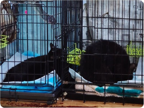 DSC_2638_copy_2837x1770