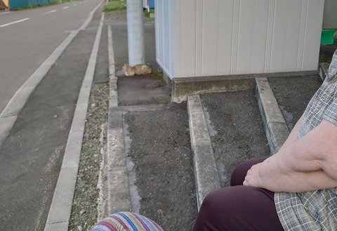 DSC_0290_copy_800x548