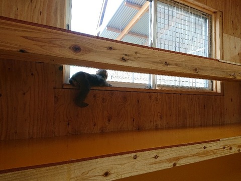 DSC_5869_copy_800x600