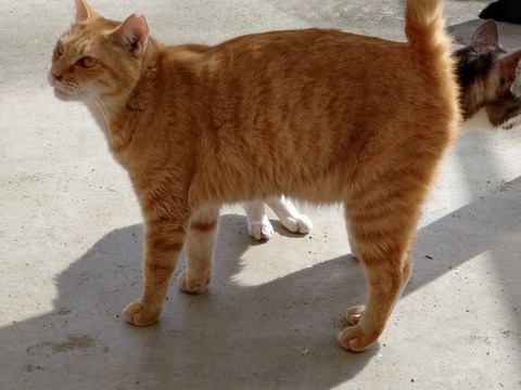 20251103_114335_copy_816x612