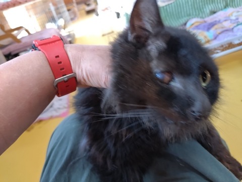 20251223_082431_copy_800x600