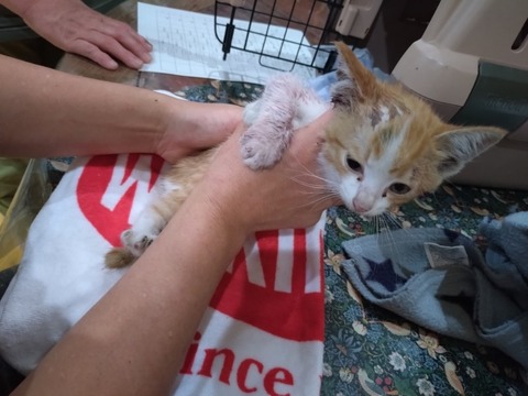 20251020_131341_copy_800x600